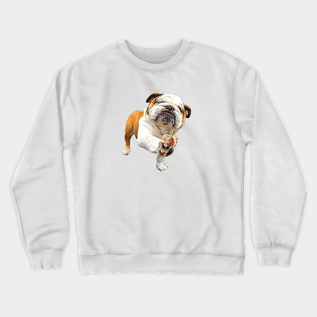 Bulldog Shake Shake Paws! Crewneck Sweatshirt by ElegantCat